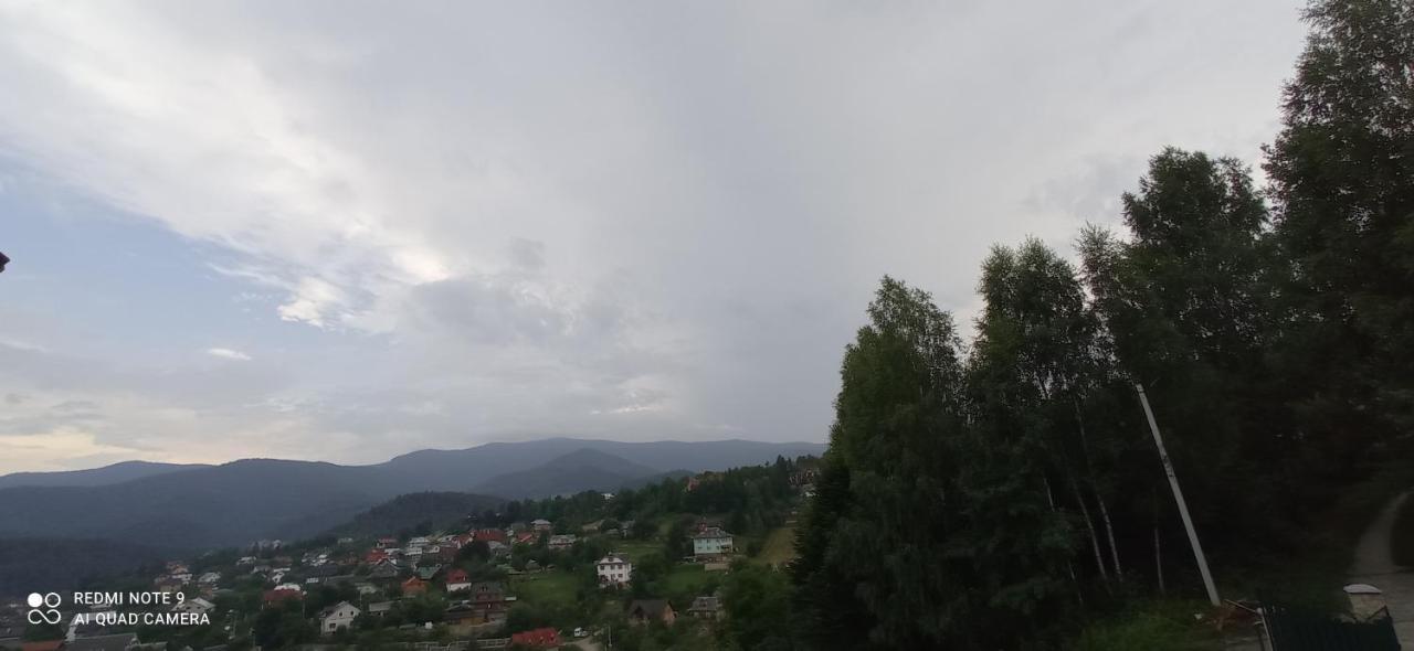 лісовичок