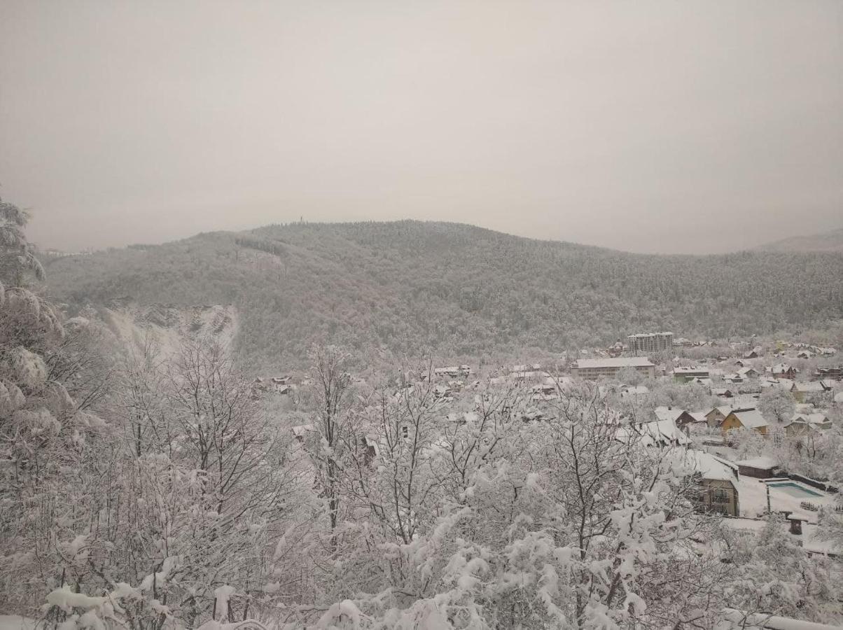 лісовичок